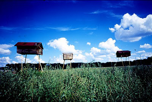 LAND(e)SCAPE